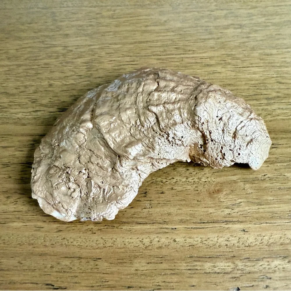 Blue and White French Toile Oyster Shell Ring Dish - Large - Picture 2 of 4